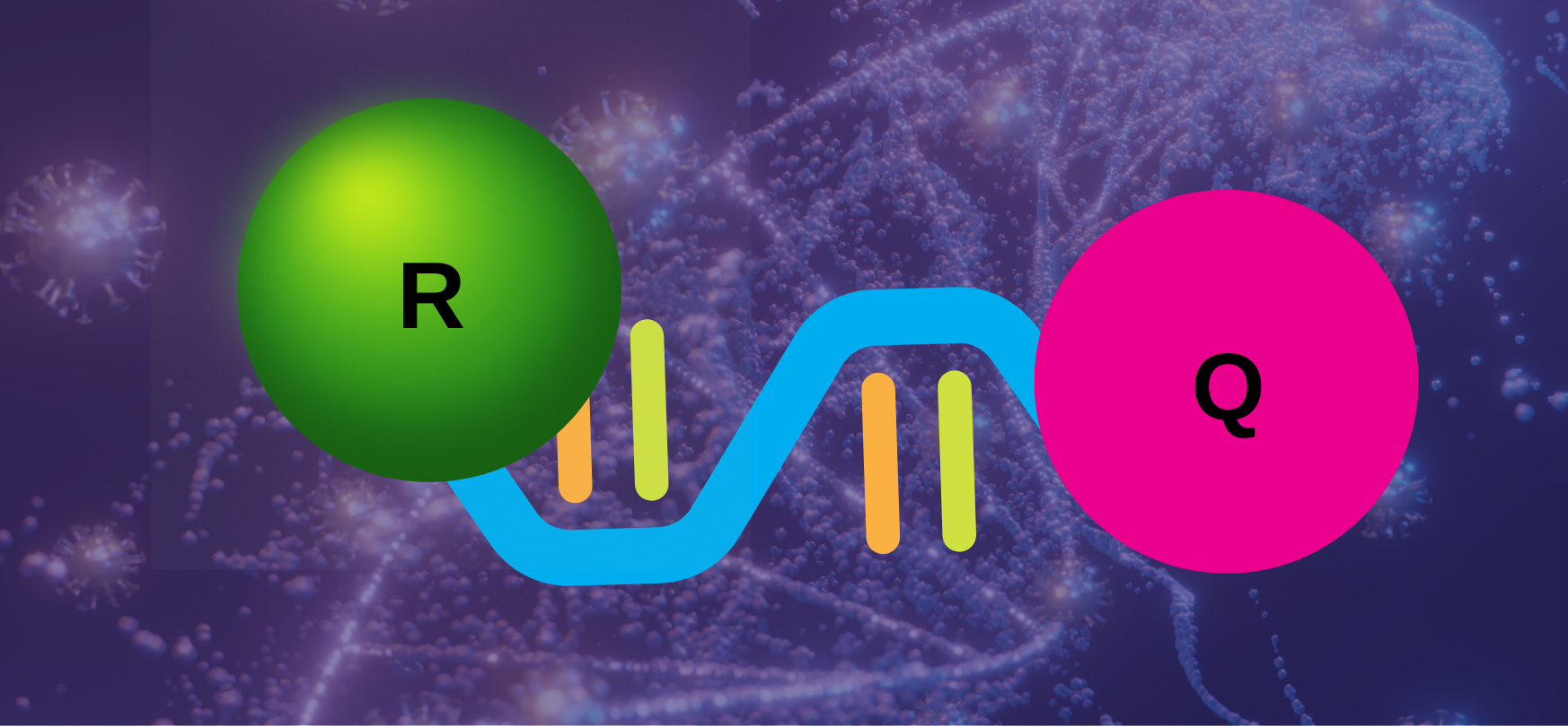 Overview Types of PCR Probes GoldBio